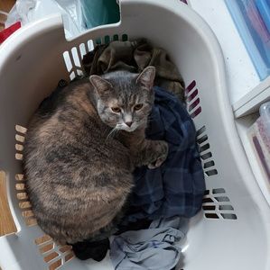 Meet your Posher, Connie